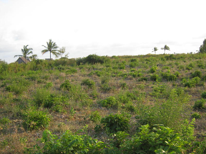 Kilifi Beach Plot
